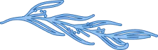 Vector Image