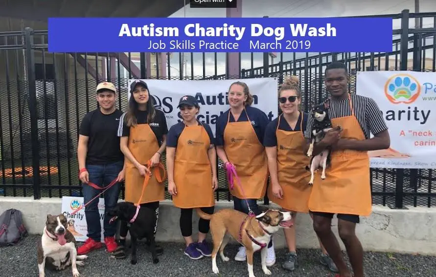 Autism Charity Dog Wash 2019